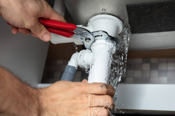 Best Ceiling water damage repair  in Highlands Ranch, CO