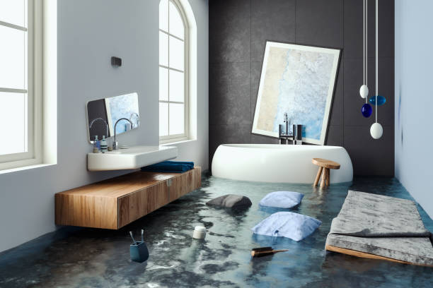 Best Emergency water damage restoration  in Highlands Ranch, CO