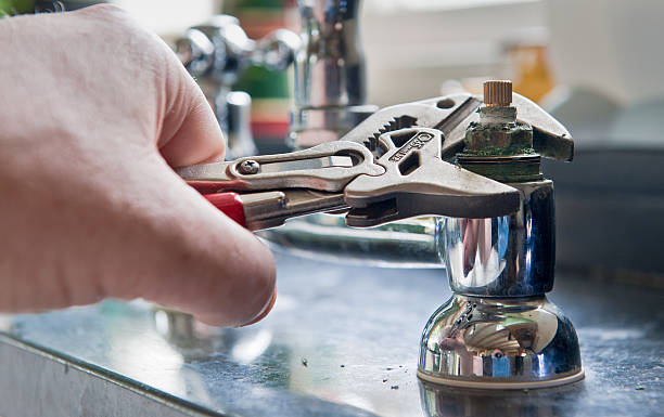 Best Professional water damage repair  in Highlands Ranch, CO