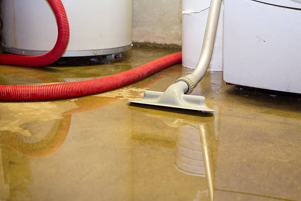 Reliable CO Water damage restoration Solutions