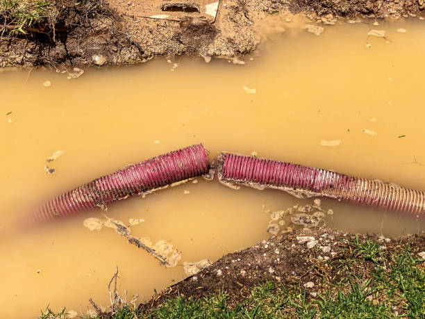 Best Mold removal after water damage  in Highlands Ranch, CO
