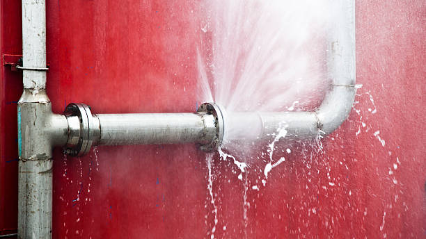 Best Basement water damage restoration  in Highlands Ranch, CO